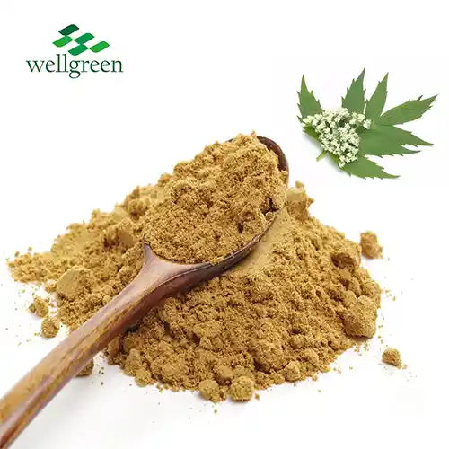 Valerian Extract Powder